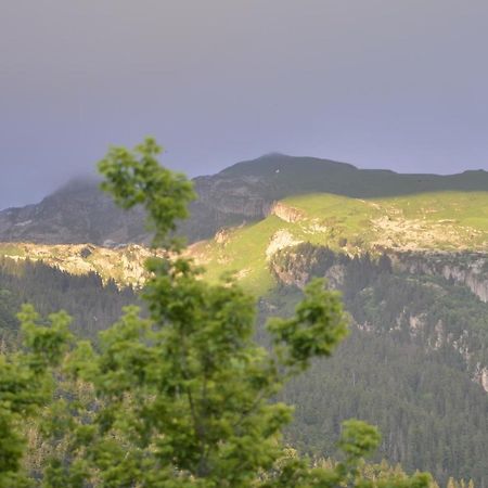 Apartament Domaine Du Grand Tetras Samoëns Zewnętrze zdjęcie