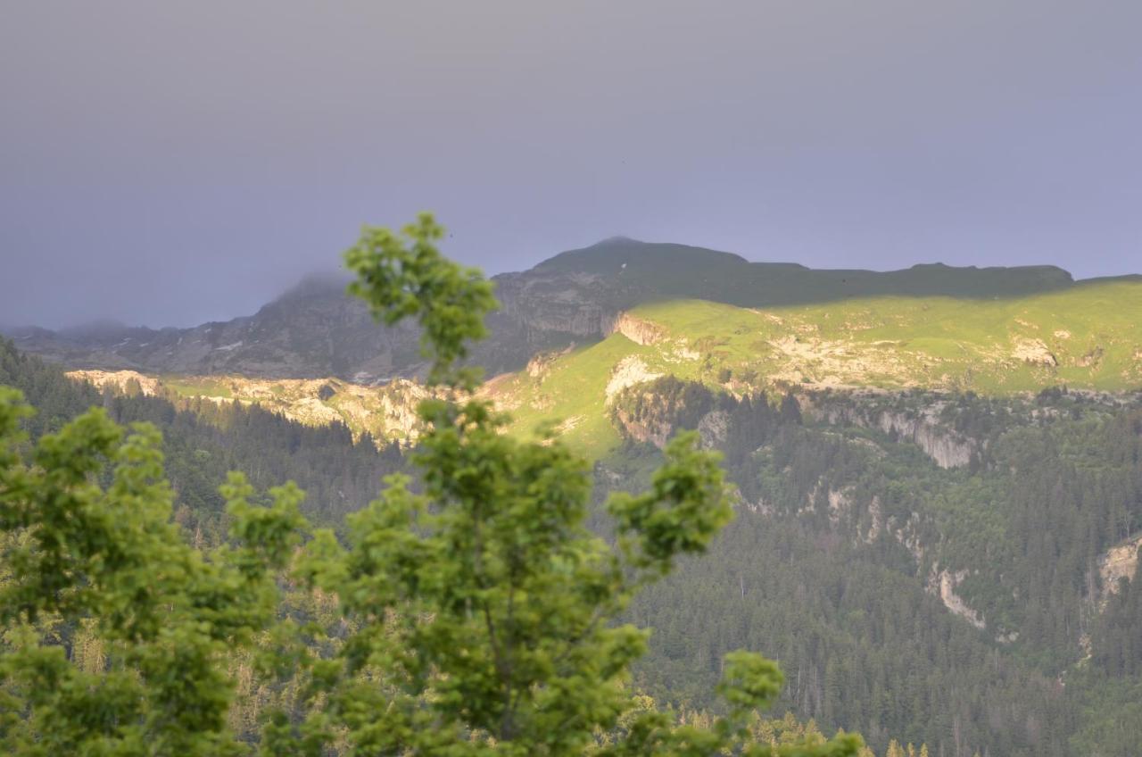 Apartament Domaine Du Grand Tetras Samoëns Zewnętrze zdjęcie