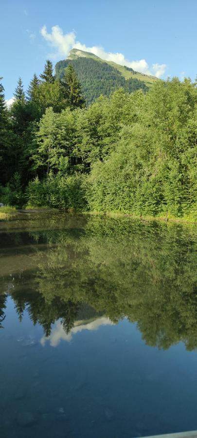 Apartament Domaine Du Grand Tetras Samoëns Zewnętrze zdjęcie